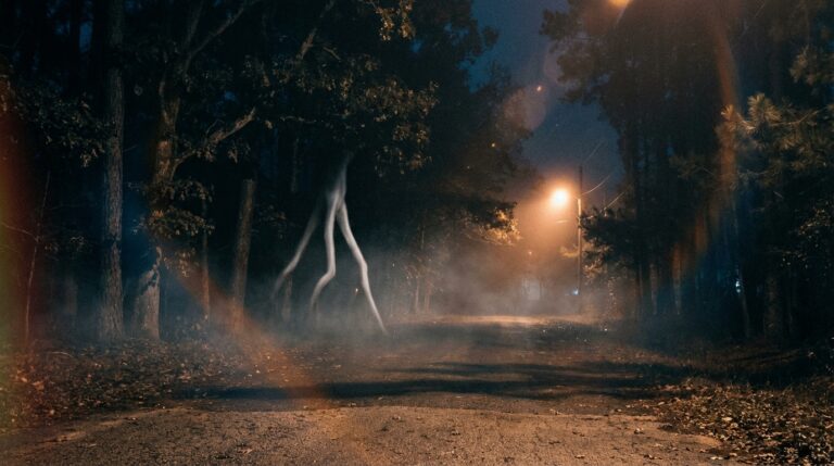 the bizarre mystery of the fresno nightcrawlers cr 1772217148233